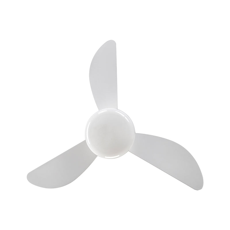 Ventilador de Teto Fênix 127v - Ventisol